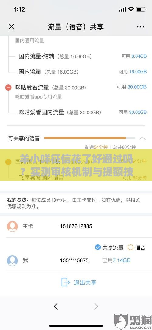 羊小咩征信花了好通过吗？实测审核机制与提额技巧分享