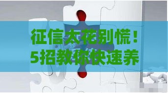 征信太花别慌！5招教你快速养好征信，轻松搞定贷款难题