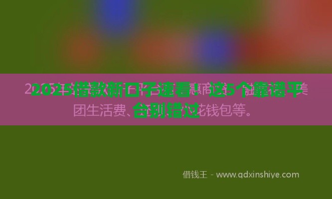 2025借款新口子速看！这5个靠谱平台别错过