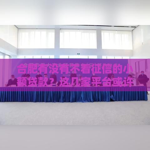 合肥有没有不看征信的小额贷款？这几家平台或许能解燃眉之急