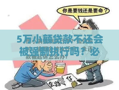 5万小额贷款不还会被强制执行吗？必看避坑干货