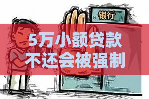 5万小额贷款不还会被强制执行吗？必看避坑干货