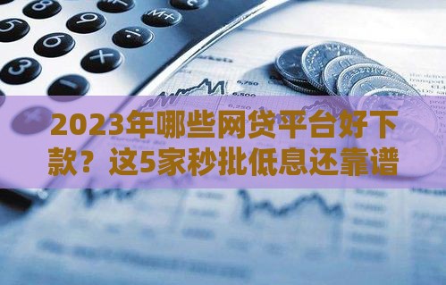 2023年哪些网贷平台好下款？这5家秒批低息还靠谱