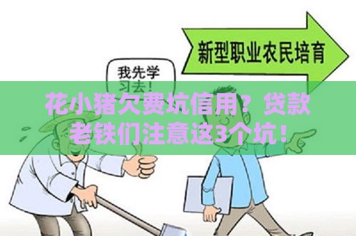 花小猪欠费坑信用？贷款老铁们注意这3个坑！