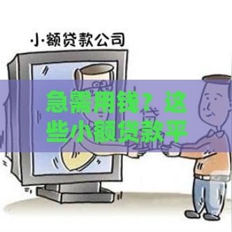 急需用钱？这些小额贷款平台快速下款，低门槛也能轻松申请！