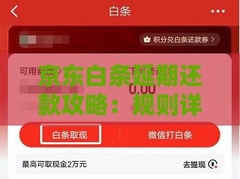 京东白条延期还款攻略：规则详解与操作指南