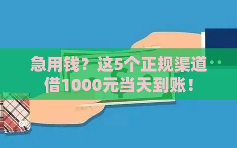 急用钱？这5个正规渠道借1000元当天到账！