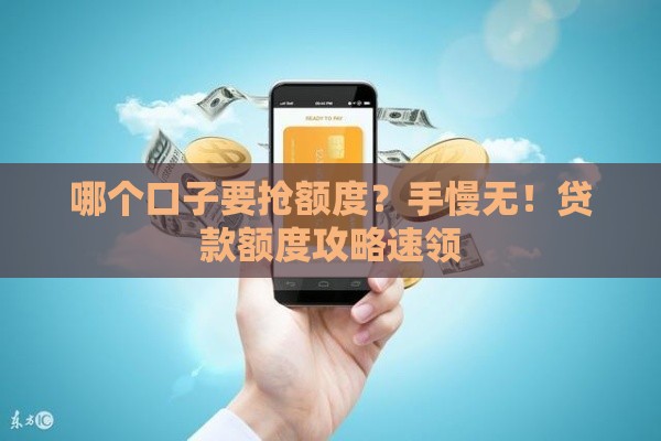 哪个口子要抢额度？手慢无！贷款额度攻略速领