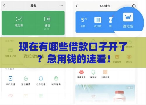 现在有哪些借款口子开了？急用钱的速看！