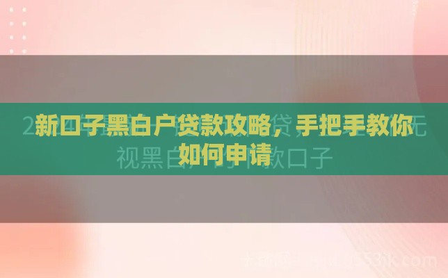 新口子黑白户贷款攻略，手把手教你如何申请