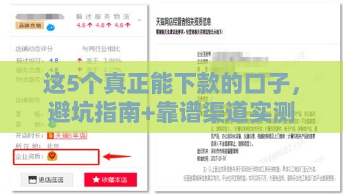 这5个真正能下款的口子，避坑指南+靠谱渠道实测