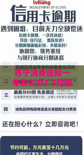 苏宁消费逾期一年怎么办？3招教你化解难题