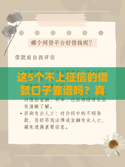 这5个不上征信的借款口子靠谱吗？真实测评+避坑指南