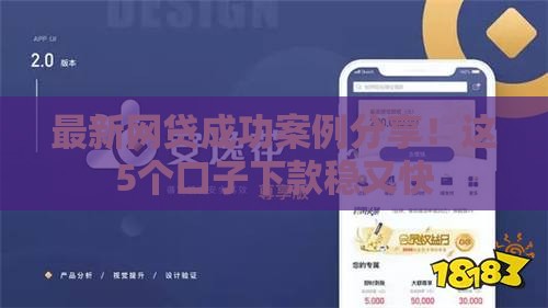 最新网贷成功案例分享！这5个口子下款稳又快