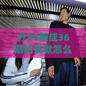 分24期或36期的贷款怎么选？灵活分期方案详细攻略