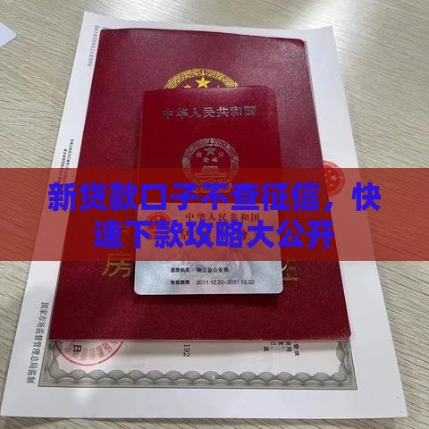 新贷款口子不查征信，快速下款攻略大公开