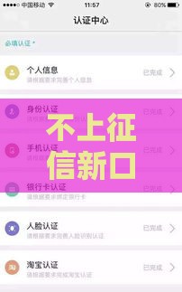 不上征信新口子秒批到账攻略大公开