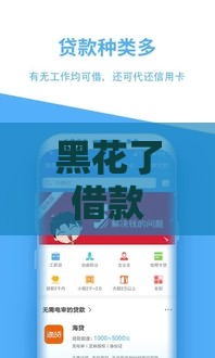 黑花了借款新口子能贷吗？过来人实测避坑指南！