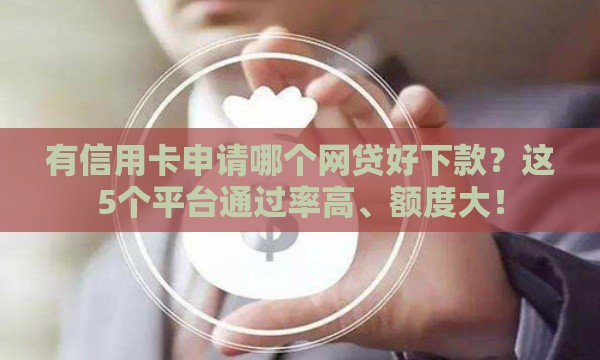 有信用卡申请哪个网贷好下款？这5个平台通过率高、额度大！
