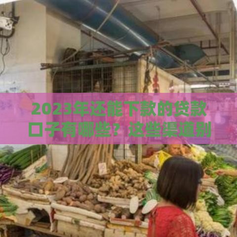 2023年还能下款的贷款口子有哪些？这些渠道别错过