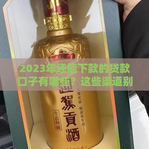2023年还能下款的贷款口子有哪些？这些渠道别错过