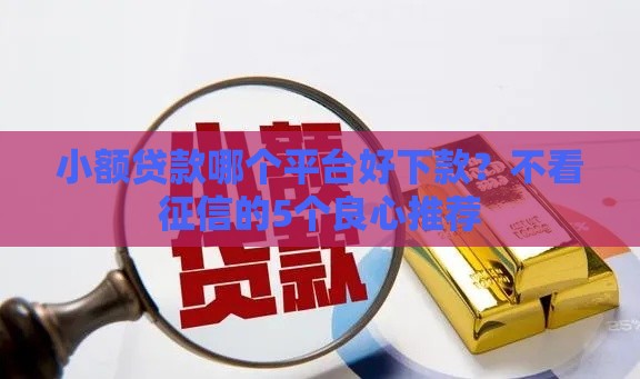 小额贷款哪个平台好下款？不看征信的5个良心推荐