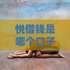 悦借钱是哪个口子？这份正规平台解析别错过