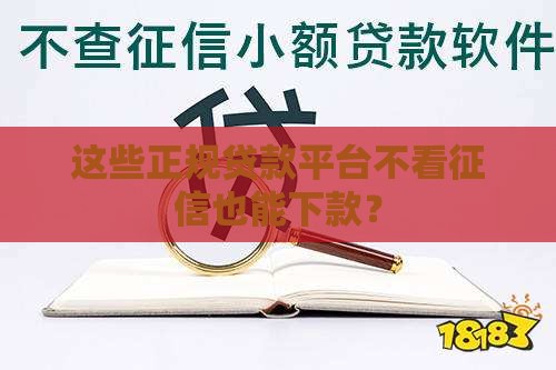这些正规贷款平台不看征信也能下款？