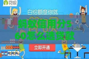 蚂蚁信用分560怎么选贷款期限？3个技巧帮你避坑