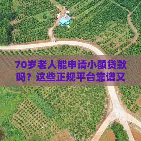 70岁老人能申请小额贷款吗?这些正规平台靠谱又安心 70岁老人能申请小额贷款吗?这些正规平台靠谱又安心