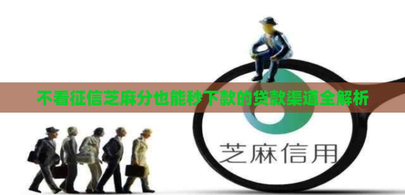 不看征信芝麻分也能秒下款的贷款渠道全解析