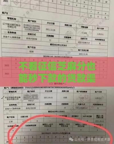 不看征信芝麻分也能秒下款的贷款渠道全解析