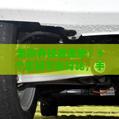 老张有钱靠哪家？5个正规平台对比，手头紧这样选不吃亏！