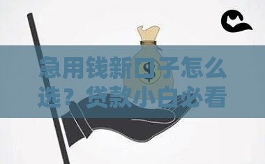 急用钱新口子怎么选？贷款小白必看3大避坑指南