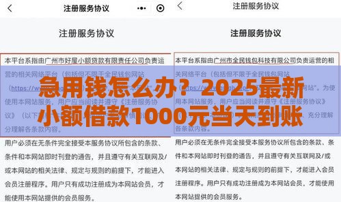 急用钱怎么办？2025最新小额借款1000元当天到账攻略分享