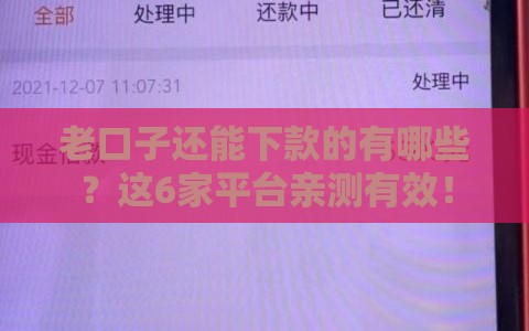 老口子还能下款的有哪些？这6家平台亲测有效！