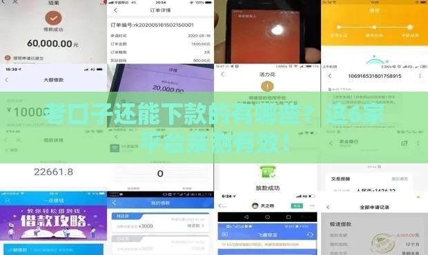 老口子还能下款的有哪些？这6家平台亲测有效！