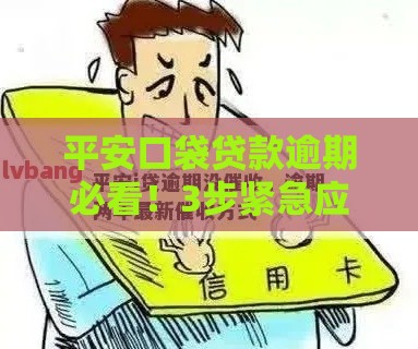 平安口袋贷款逾期必看！3步紧急应对攻略
