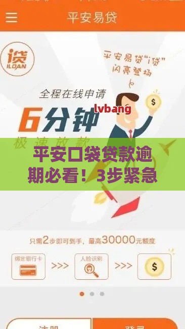 平安口袋贷款逾期必看！3步紧急应对攻略
