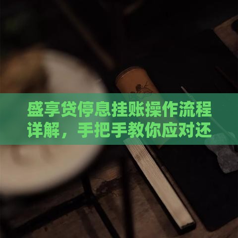 盛享贷停息挂账操作流程详解，手把手教你应对还款难题