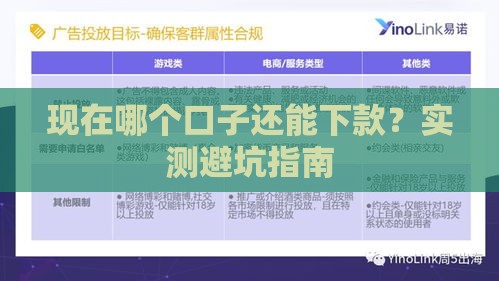 现在哪个口子还能下款？实测避坑指南