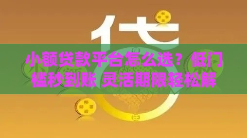 小额贷款平台怎么选？低门槛秒到账 灵活期限轻松解忧