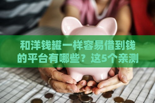 和洋钱罐一样容易借到钱的平台有哪些？这5个亲测靠谱！