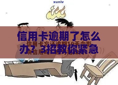 信用卡逾期了怎么办？3招教你紧急补救，避免影响征信！