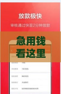 急用钱看这里！5000块网贷哪家审核快放款稳？3款实测好下款