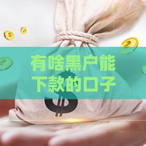 有啥黑户能下款的口子？实测5个无视征信秒下款平台