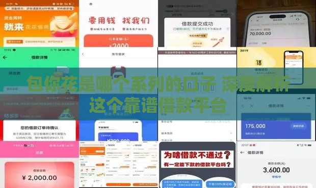 包你花是哪个系列的口子 深度解析这个靠谱借款平台