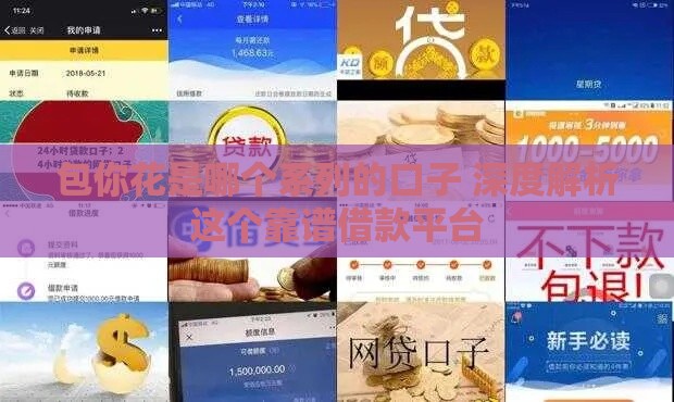 包你花是哪个系列的口子 深度解析这个靠谱借款平台