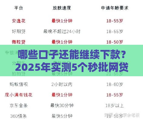 哪些口子还能继续下款？2025年实测5个秒批网贷平台推荐