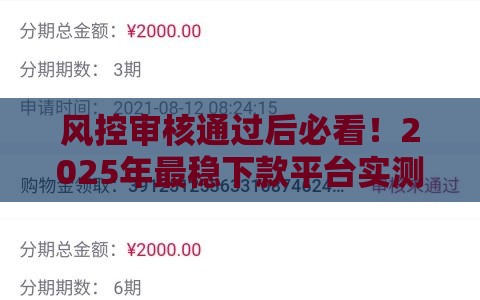 风控审核通过后必看！2025年最稳下款平台实测分享